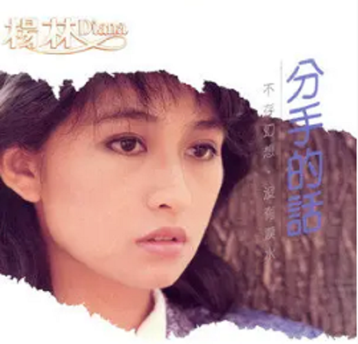 分手的话（杨林演唱的歌曲）