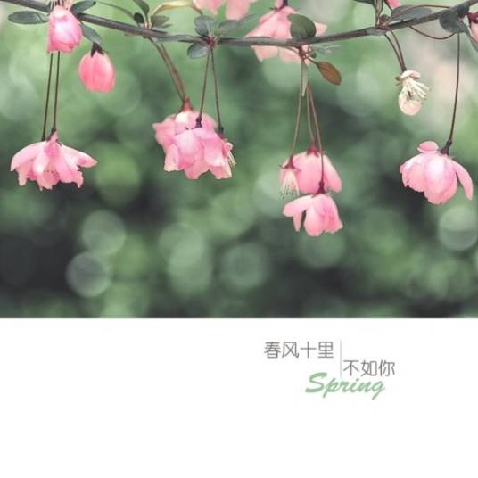 春风十里（2012年中国华侨出版社出版的图书）