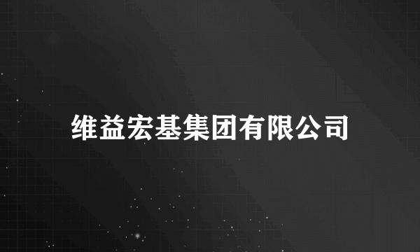 维益宏基集团有限公司