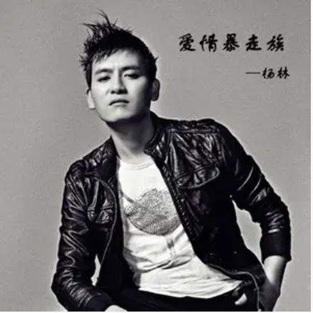 错过爱情错过你（杨林演唱歌曲）