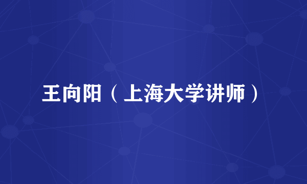 王向阳（上海大学讲师）