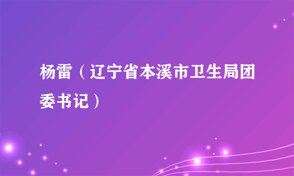 杨雷（辽宁省本溪市卫生局团委书记）