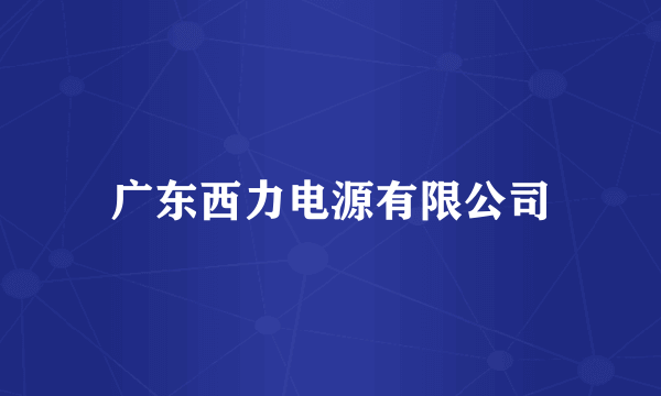 广东西力电源有限公司