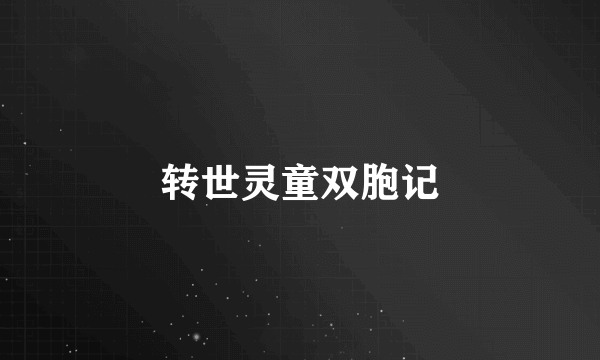 转世灵童双胞记