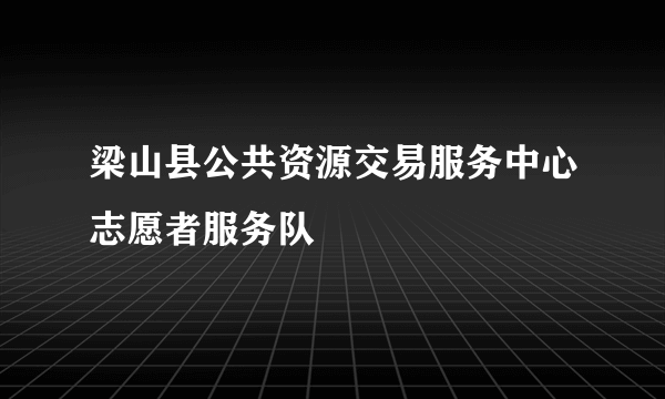 梁山县公共资源交易服务中心志愿者服务队