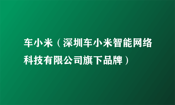 车小米（深圳车小米智能网络科技有限公司旗下品牌）