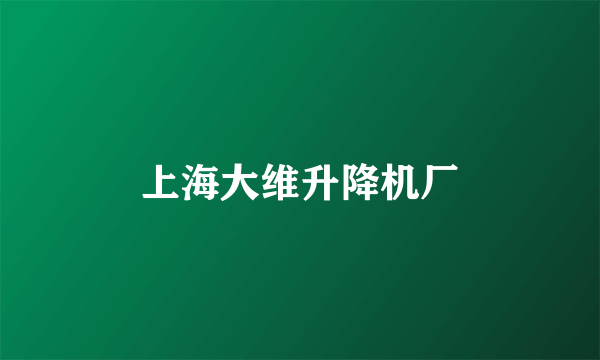 上海大维升降机厂