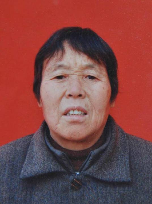 彭秀英（淮阳县舍身救人老党员）