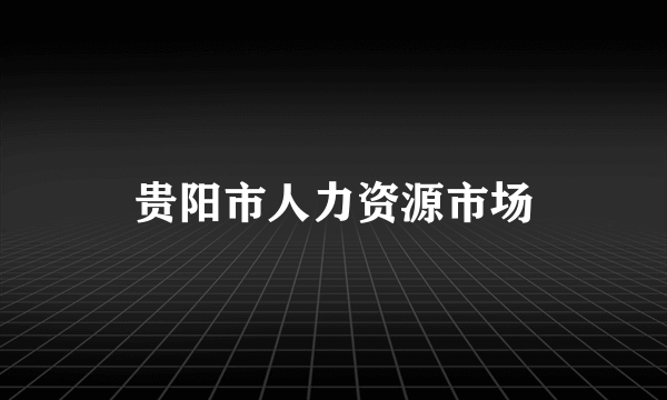 贵阳市人力资源市场