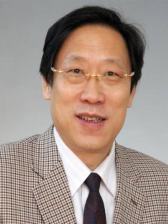 沈江（天津大学教授）