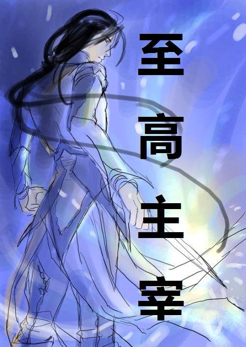 至高主宰（皇林所著的武侠小说）