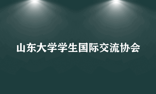 山东大学学生国际交流协会