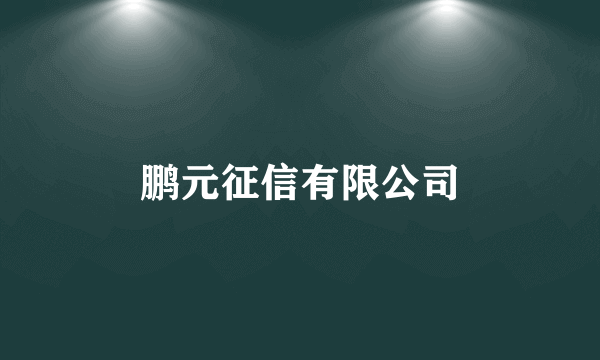 鹏元征信有限公司