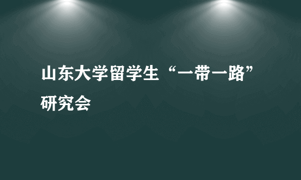 山东大学留学生“一带一路”研究会