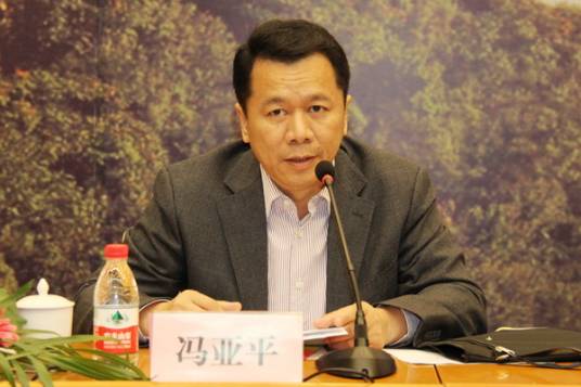 冯亚平（中国民政部规划财务司司长）