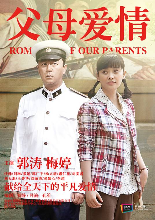 父母爱情（2014年孔笙执导的家庭情感剧）
