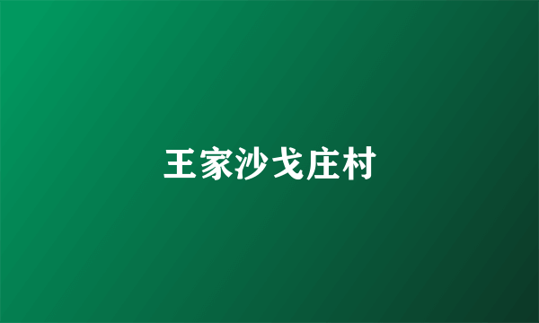 王家沙戈庄村