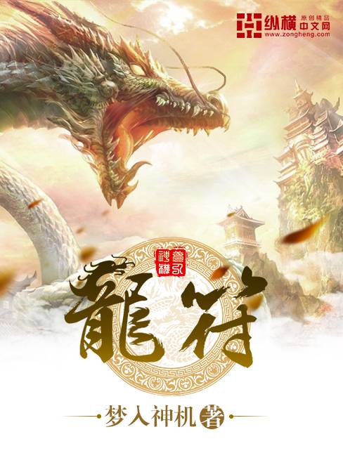 龙符（梦入神机网络小说）
