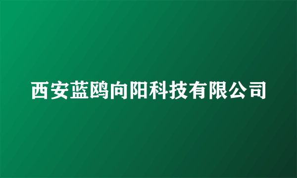 西安蓝鸥向阳科技有限公司