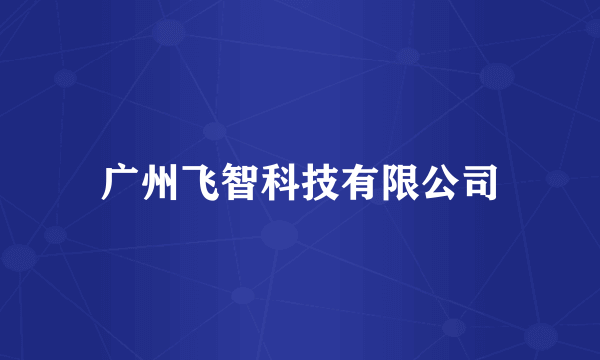 广州飞智科技有限公司