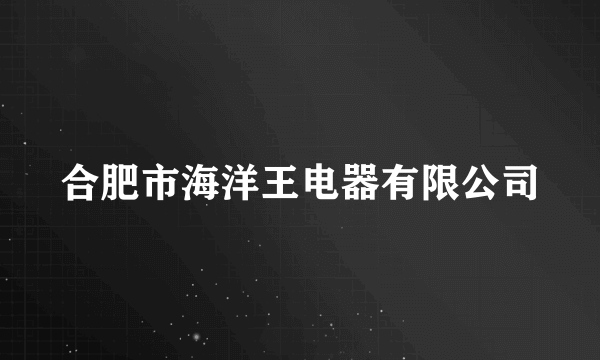合肥市海洋王电器有限公司