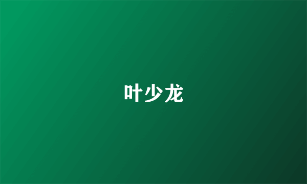 叶少龙