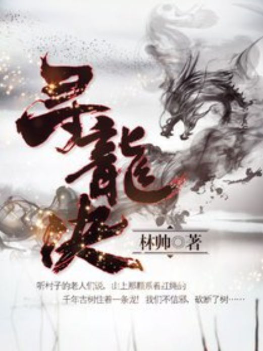 寻龙诀（林帅创作的小说）