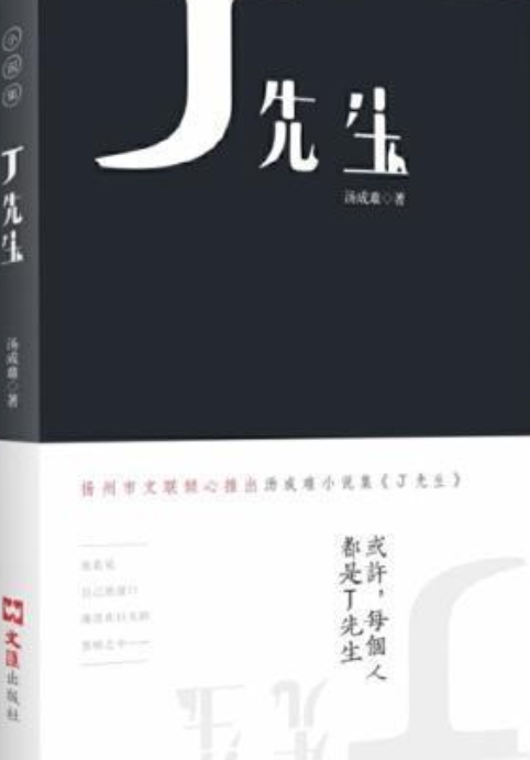 先生（王开林著书籍）