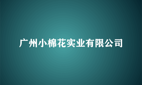 广州小棉花实业有限公司