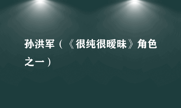 孙洪军（《很纯很暧昧》角色之一）