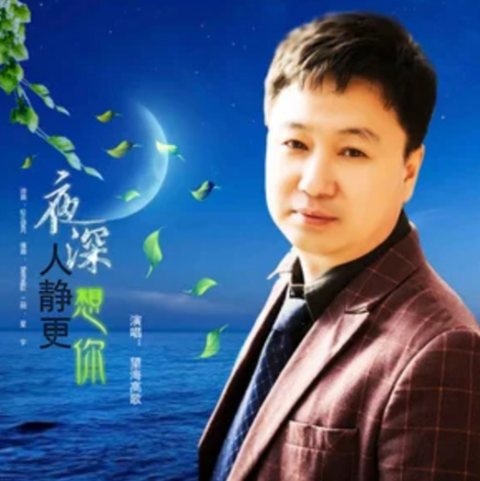夜深人静更想你（望海高歌演唱的歌曲）