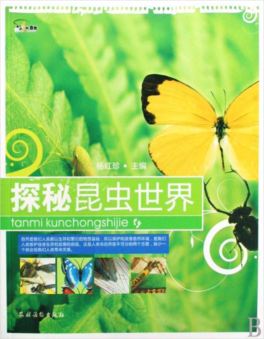走近大自然：探秘昆虫世界