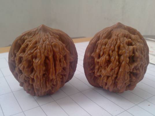虎头核桃