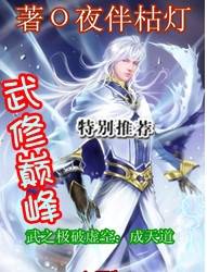 武修颠峰