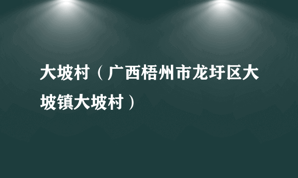 大坡村（广西梧州市龙圩区大坡镇大坡村）