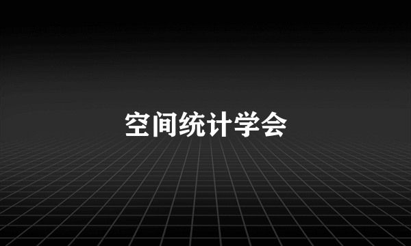 空间统计学会