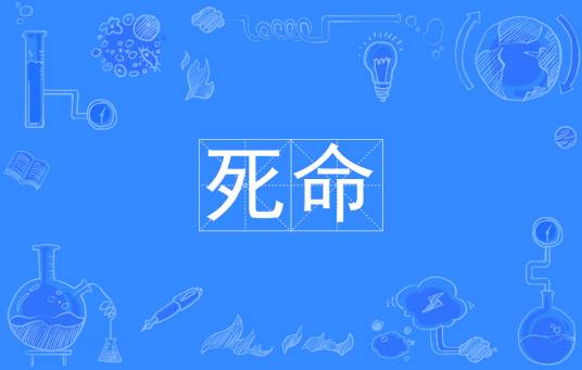 死命