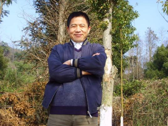 域名抢注造假门