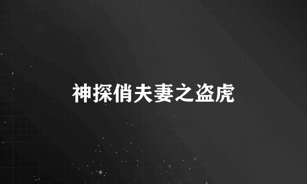 神探俏夫妻之盗虎