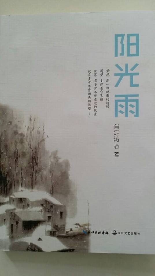 阳光雨（2014年长江文艺出版社出版的图书）