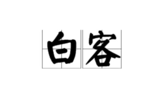 白客(网络术语)