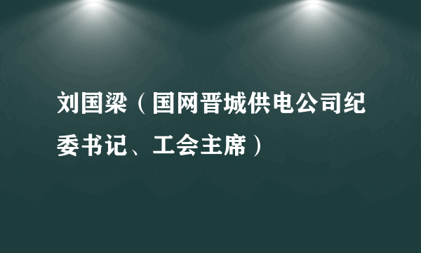 刘国梁(国网晋城供电公司纪委书记、工会主席)