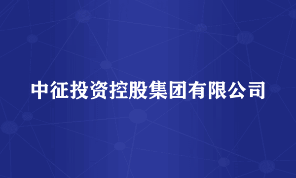 中征投资控股集团有限公司