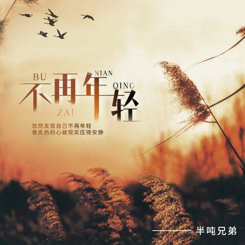 不再年轻（半吨兄弟演唱的歌曲）
