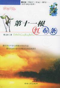 第十一根红布条(中国福利会出版社于2005年出版的图书)