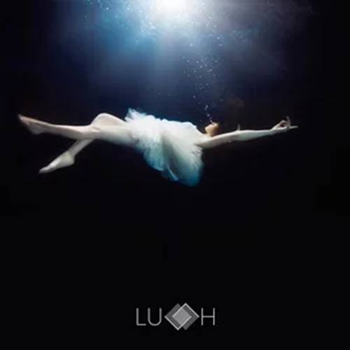 Dream It Possible（爱琳Luvah演唱的歌曲）