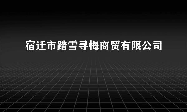 宿迁市踏雪寻梅商贸有限公司