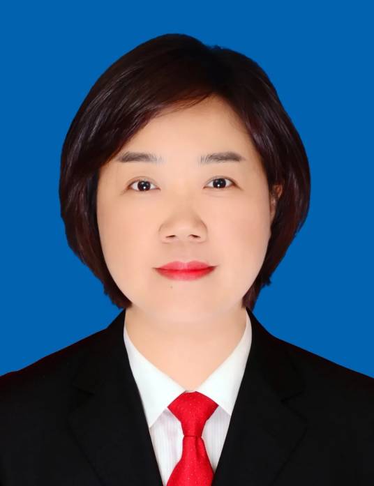 王思红(贵州省岑巩县委副书记、县长)