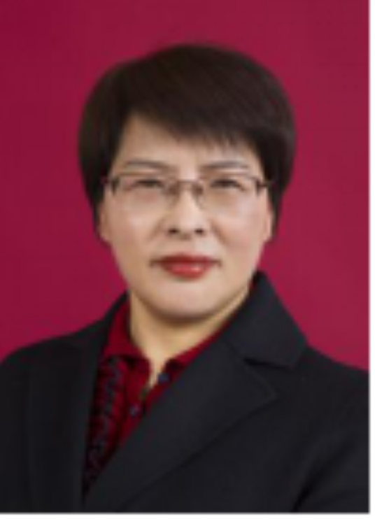 王苑(河南省邓州市审计局党组书记、局长)