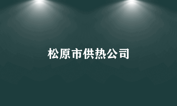 松原市供热公司